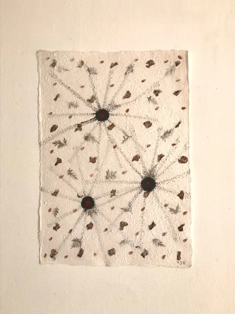 Acryl219