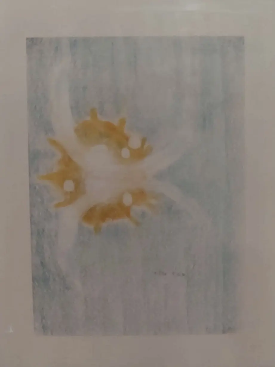 Pastel6